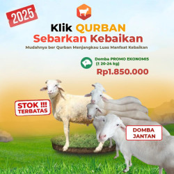 Qurban Domba Promo Murah 2025 – Amanah & Sesuai Syariat