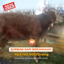 Sapi Qurban Patungan 3 juta per orang