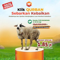 domba qurban murah promo