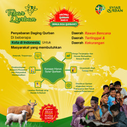 Qurban Domba Terbaik – Penyaluran ke Pesantren & Dhuafa