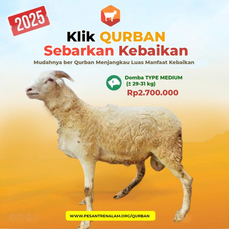 domba qurban online domba qurban online