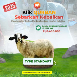 QURBAN DOMBA MURAH SOLO RAYA