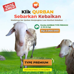 QURBAN DOMBA PREMIUM