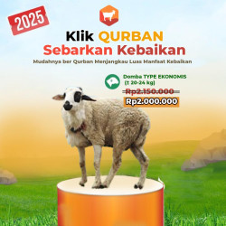 Qurban Domba Terbaik – Penyaluran ke Pesantren & Dhuafa