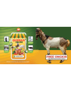 Hewan Qurban Berkualitas - Sesuai Syariat & Siap Kirim