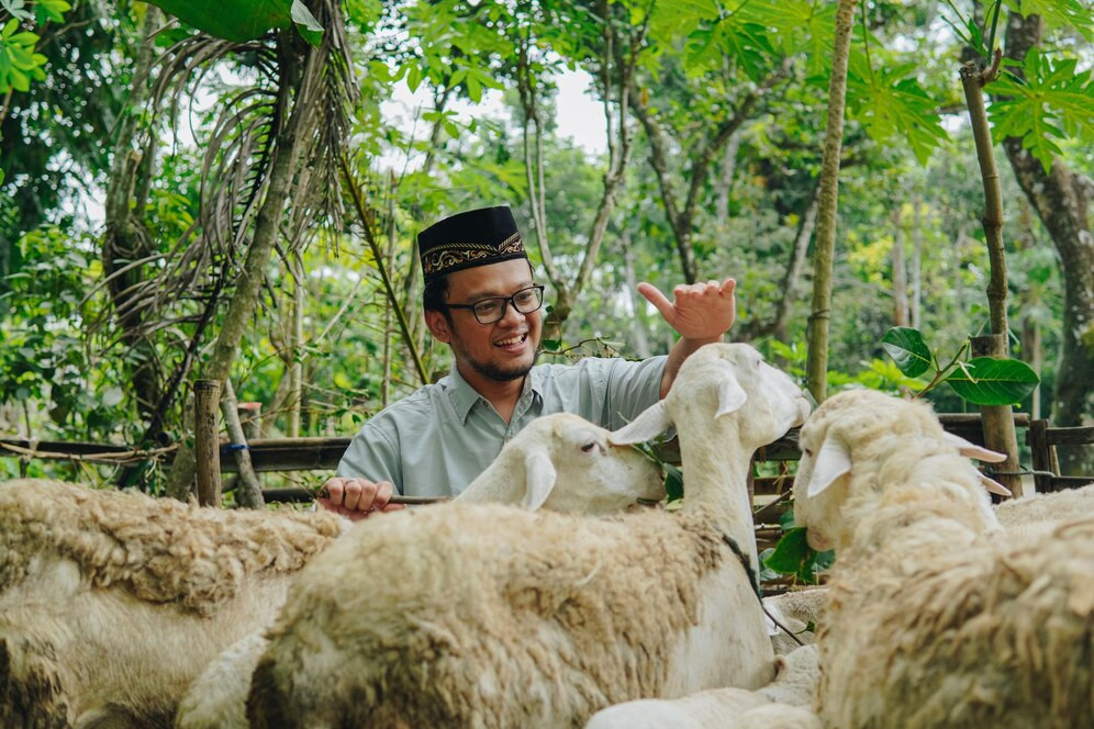 Program Tebar Hewan Qurban 2025: Kirim Qurban Hingga ke Pesantren dan Pelosok Negeri Program Tebar Hewan Qurban 2025: Kirim Qurban Hingga ke Pesantren dan Pelosok Negeri