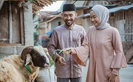 Doa Aqiqah: Lafal, Tata Cara, dan Makna Spiritual di Balik Pelaksanaannya