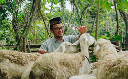 Qurban Online 2025 – Hewan Qurban Amanah & Terpercaya