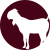 qurban.png